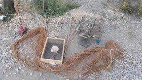 کشف و ضبط ۲۸ قطعه سهره طلایی از شکارچیان متخلف در هشجین