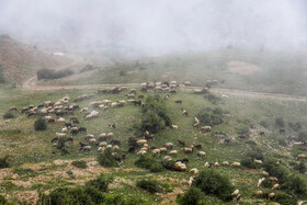 روستای «اِسپِرِز» سوادکوه بر فراز ابرها
