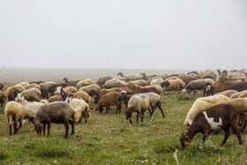 روستای «اِسپِرِز» سوادکوه بر فراز ابرها