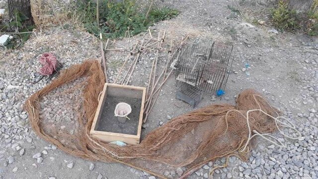 کشف و ضبط ۲۸ قطعه سهره طلایی از شکارچیان متخلف در هشجین