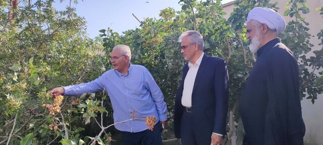 پیگیری کاهش خاموشیها در باغات پسته زرندیه/ایجاد شرایط واگذاری پنلهای خورشیدی به باغداران