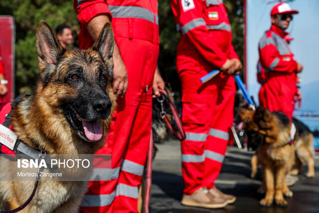 تجهیز سگ‌های زنده‌یاب هلال‌احمر به سیستمهای هوشمند موقعیت یاب