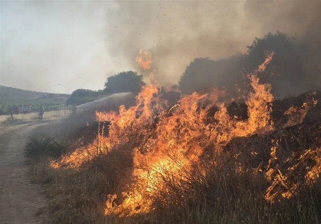 مدیرکل منابع طبیعی کردستان: گردباد، آتش در ارتفاعات آبیدر را شعلهور کرد/ غافلگیر شدیم/ به بالگرد نیاز داریم مدیرکل منابع طبیعی کردستان: گردباد، آتش در ارتفاعات آبیدر را شعلهور کرد/ غافلگیر شدیم/ به بالگرد نیاز داریم