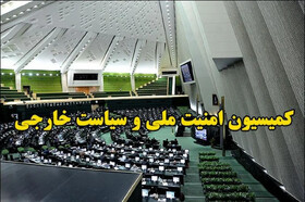 ارجاع مجدد لایحه ساماندهی پهپادهای غیرنظامی به کمیسیون امنیت ملی