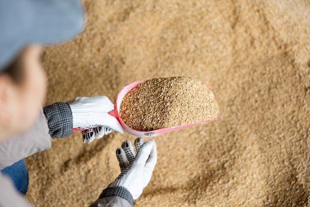 تأمین به‌ موقع نهاده‌های دامی، سنگ‌ بنای تولید پایدار محصولات پروتئینی