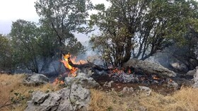 اطفای حریق مناطق کوهستانی میغان بسطام با کمک ارتش و مردم محلی