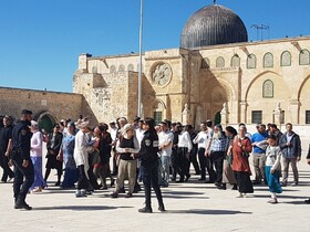 یهودیان تندرو همچنان به هتک حرمت مسجدالاقصی ادامه می‌دهند