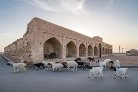 کاروانسرای روستای قاسم آباد . شهرستان بجستان