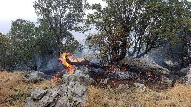 آتشسوزی جنگلهای کوه سیاه مهار و خاموش شد آتشسوزی جنگلهای کوه سیاه مهار و خاموش شد