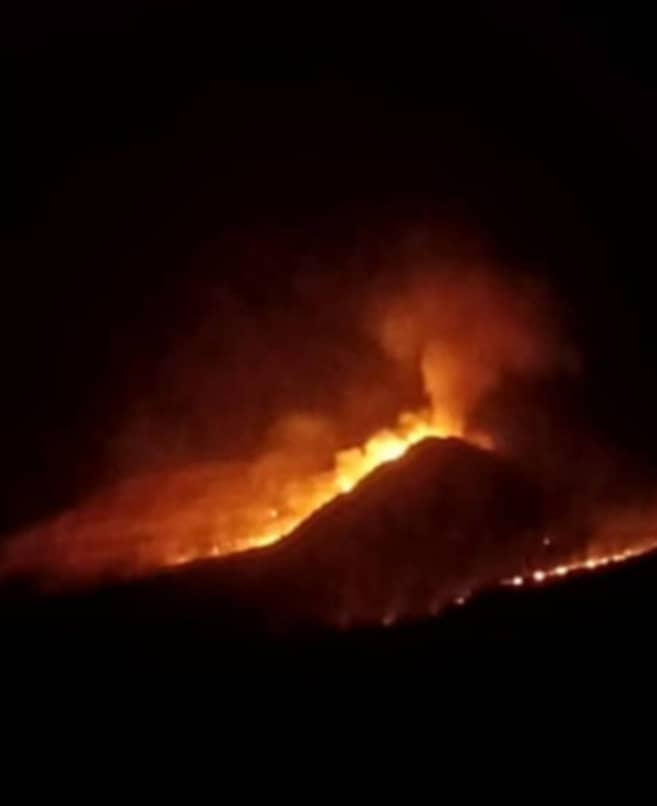 وقوع حریق گسترده در ارتفاعات «گیسکان» دشتستان