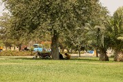 بازنگری طرح جامع شهر باید تحقق‌پذیر و مبتنی‌بر واقعیت‌های اجتماعی و اقتصادی باشد