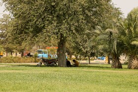 موج جدید گرما - کاشان