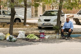 موج جدید گرما - کاشان