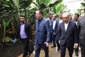 آیین افتتاح نیروگاه خورشیدی هفت مگاواتی گوزل طبیعت ارس