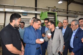 تسهیل صدور مجوزها و حمایت مالی از تولیدکنندگان در فارس