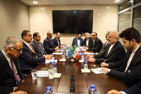 دیدار روسای مجالس ایران و پاکستان