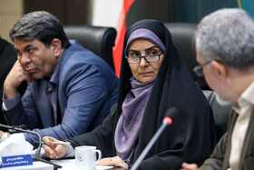 جلسه شورای اداری مشترک شهرستان های بم، نرماشیر، فهرج، گنبکی و ریگان با حضور فرزانه صادق، وزیر راه و شهرسازی