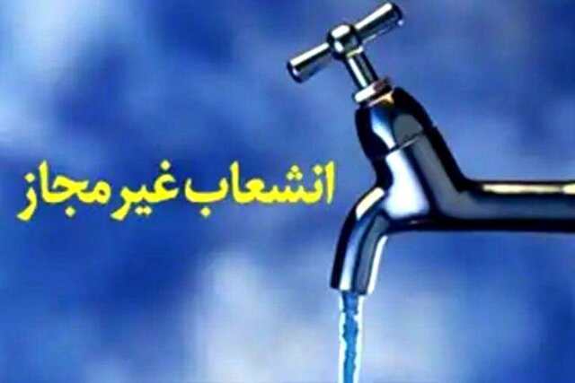 ۳۰۰ انشعاب غیرمجاز آب در باغ‌ ویلاهای جنوب‌ شرق تهران قطع شد/هیچ مماشاتی با متخلفان نخواهیم داشت