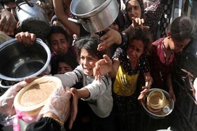 برای توقف نسل‌کشی در غزه خواستار نشست اضطراری سازمان همکاری اسلامی هستیم