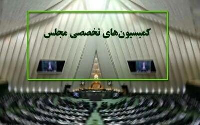 بررسی آخرین اقدامات برای تسهیل سفر اربعین در دستور کمیسیون‌های مجلس