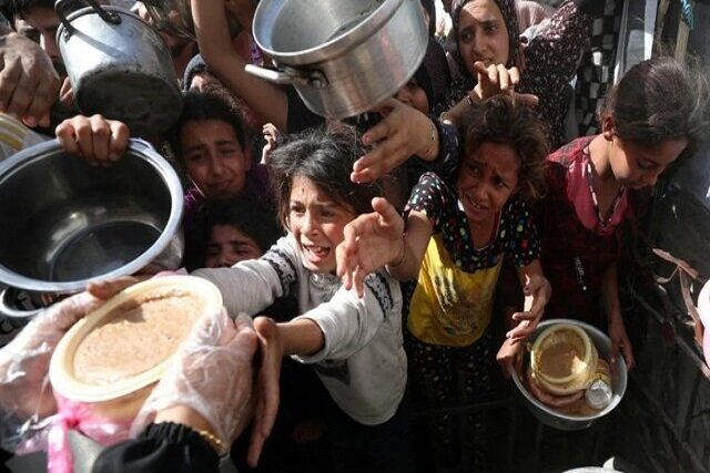 برای توقف نسل‌کشی در غزه خواستار نشست اضطراری سازمان همکاری اسلامی هستیم