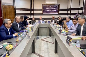 رئیس هیئت سوارکاری یزد انتخاب شد