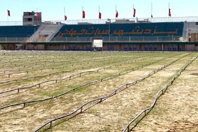 باشگاه چادرملو ریالی بابت بازسازی ورزشگاه نصیری کمک نکرد