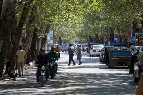 معاون فرماندار: شبکه مدیریت محله‌محور در اردکان راه‌اندازی می‌شود