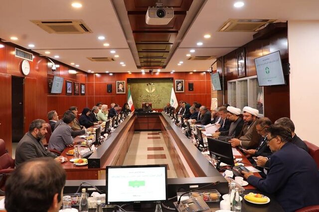 تاکید شینا انصاری بر اصلاح قانون در زمینه حمل سلاح و عملکرد معادن