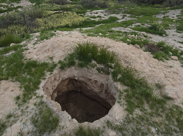 گودالی که حفاران غیرمجاز در شهر باستانی غندجان حفر کردهاند/ عکس فروردین ۱۴۰۴ گرفته شده است. شهر بزرگ ساسانی سوراخ سوراخ شد