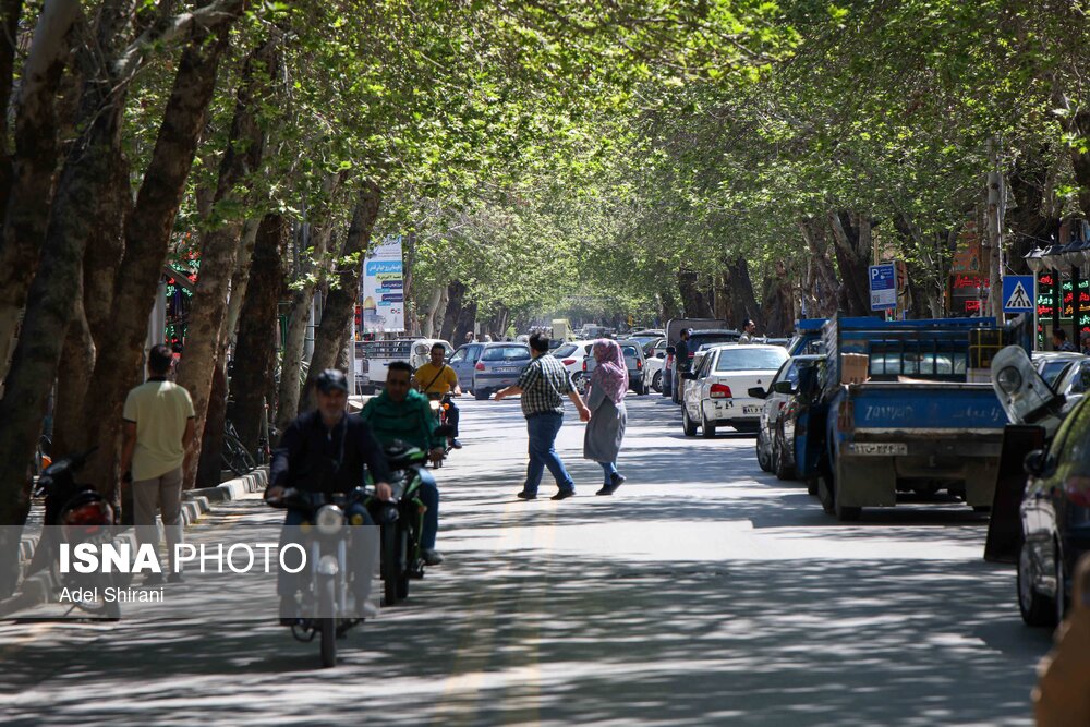 معاون فرماندار: شبکه مدیریت محله‌محور در اردکان راه‌اندازی می‌شود