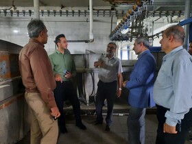 کشتارگاه طیور استان مرکزی در آستانه راه‌اندازی/تایید دامپزشکی، شرط فعالیت مجدد