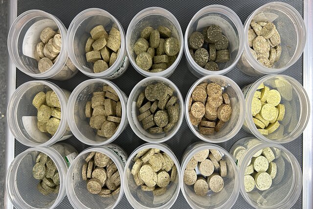 علفهای هرز به سوخت تبدیل میشوند