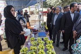 افتتاح نهمین رویداد انجیر گلوگاه مازندران
