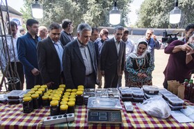 افتتاح نهمین رویداد انجیر گلوگاه مازندران