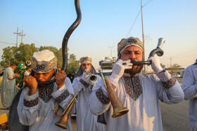 زائران اربعین حسینی - دیوانیه عراق