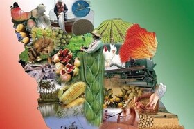 گره‌های پنهان در همکاری دانشگاه با صنایع غذایی