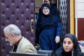 فاطمه مهاجرانی، سخنگوی دولت در نشست خبری به مناسبت روز خبرنگار