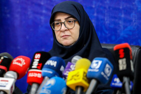 فاطمه مهاجرانی، سخنگوی دولت در نشست خبری به مناسبت روز خبرنگار