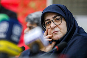 فاطمه مهاجرانی، سخنگوی دولت در نشست خبری به مناسبت روز خبرنگار