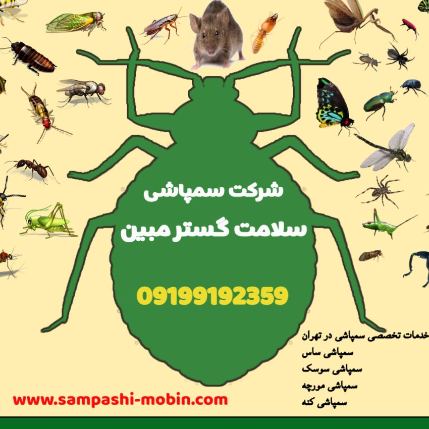 سمپاشی سوسک و سمپاشی منزل توسط شرکت سمپاشی تهران چگونه است
