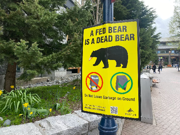 زنگ خطر یک فاجعه در کوهستان سبلان