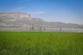 صدور سند تک برگ تالاب ارژن برای حفاظت از حقوق بیت‌المال