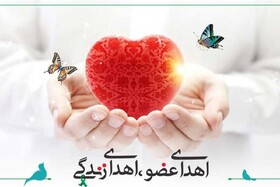 ملایر دارنده رتبه اول اهدای عضو در سطح استان همدان