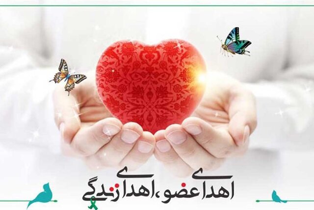 ملایر دارنده رتبه اول اهدای عضو در سطح استان همدان