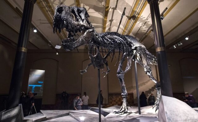 چرا دایناسورها را میخرند؟