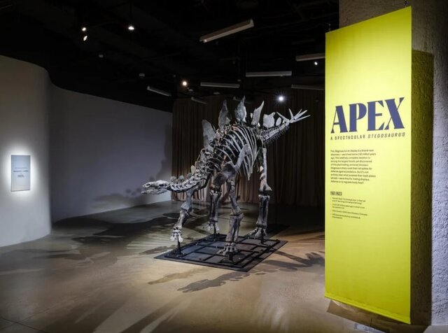 چرا دایناسورها را میخرند؟