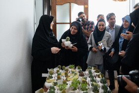 نشست خبری فاطمه مهاجرانی، سخنگوی دولت
