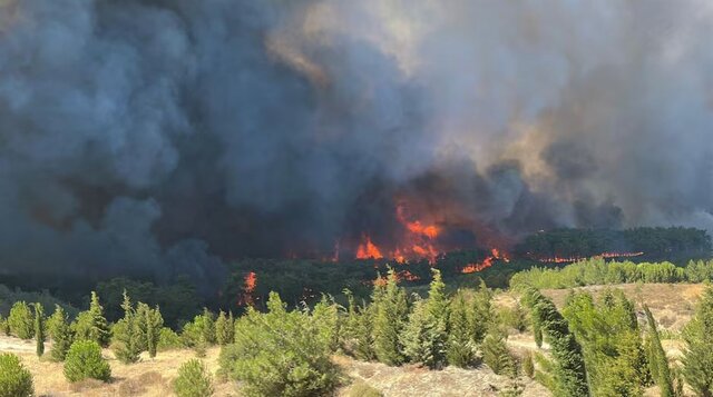 عکس آرشیوی است آتشسوزی جنگلی در «بودروم» ترکیه