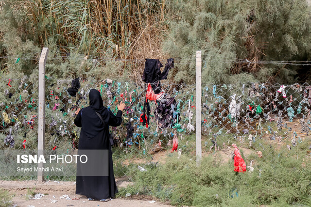 اینجا همه یک مقصد دارند؛ کربلا